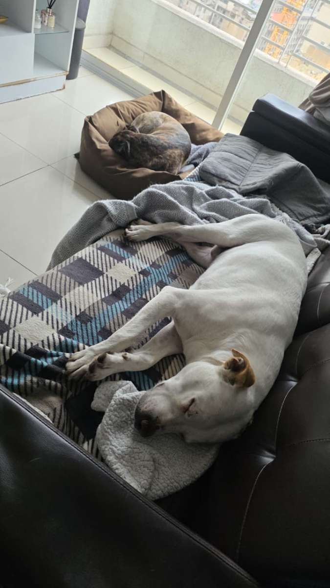 Foto 12