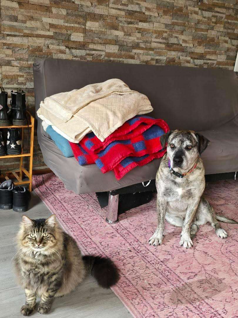 Foto 4