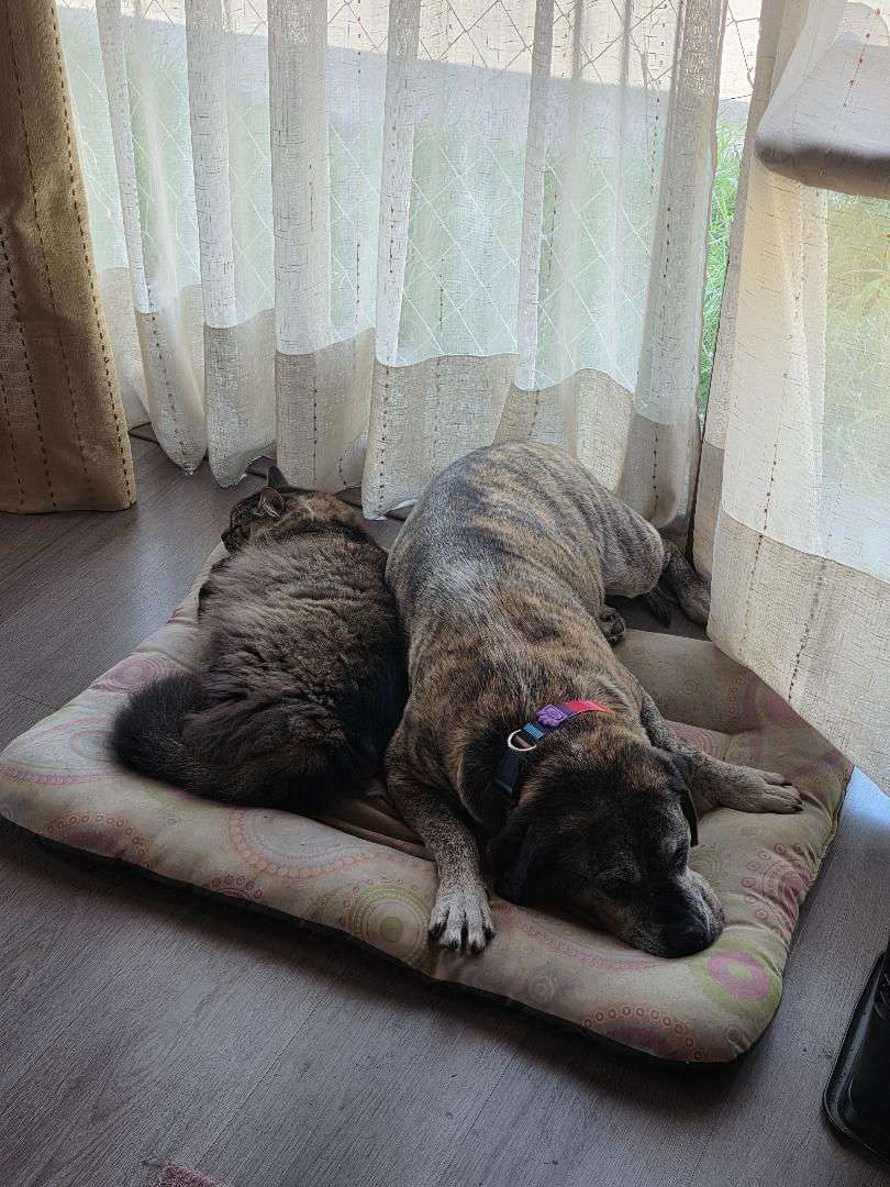 Foto 12