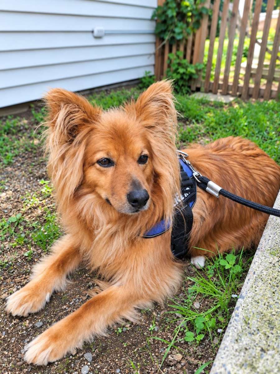 Foto 1