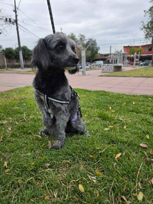Foto 3
