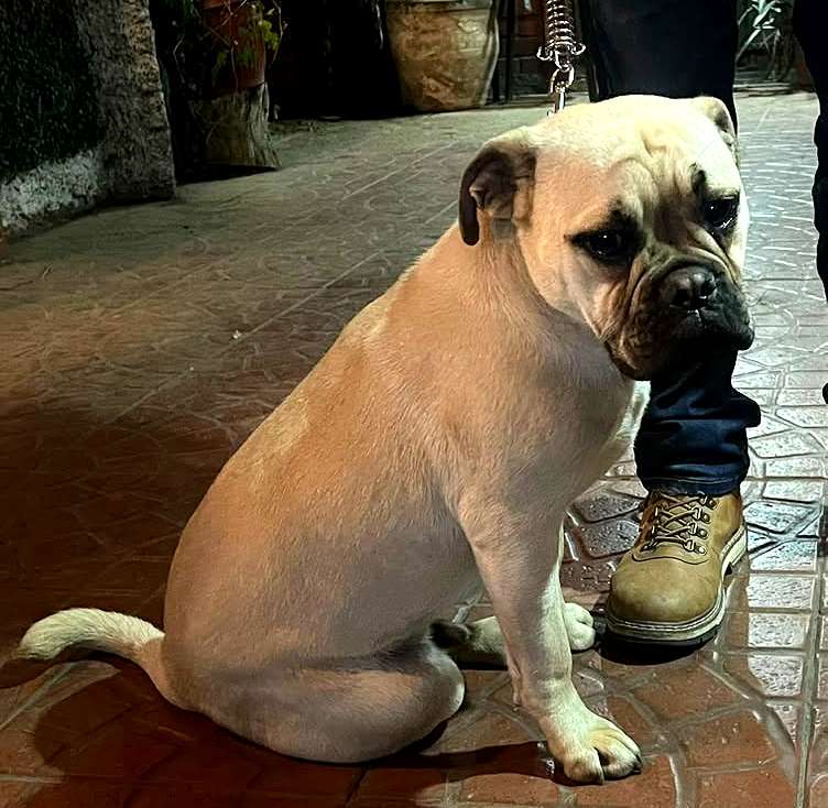 Foto 4