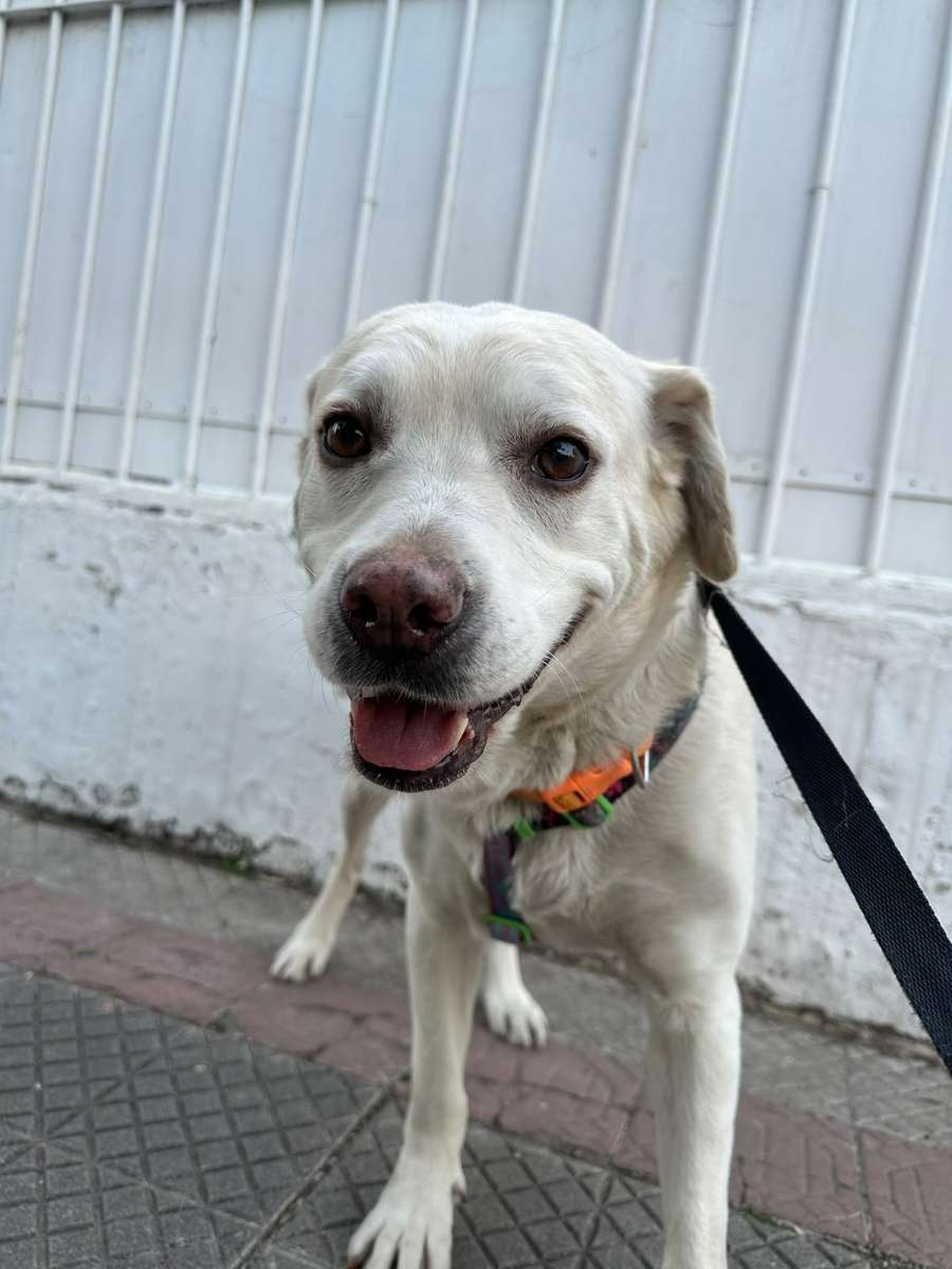 Foto 4