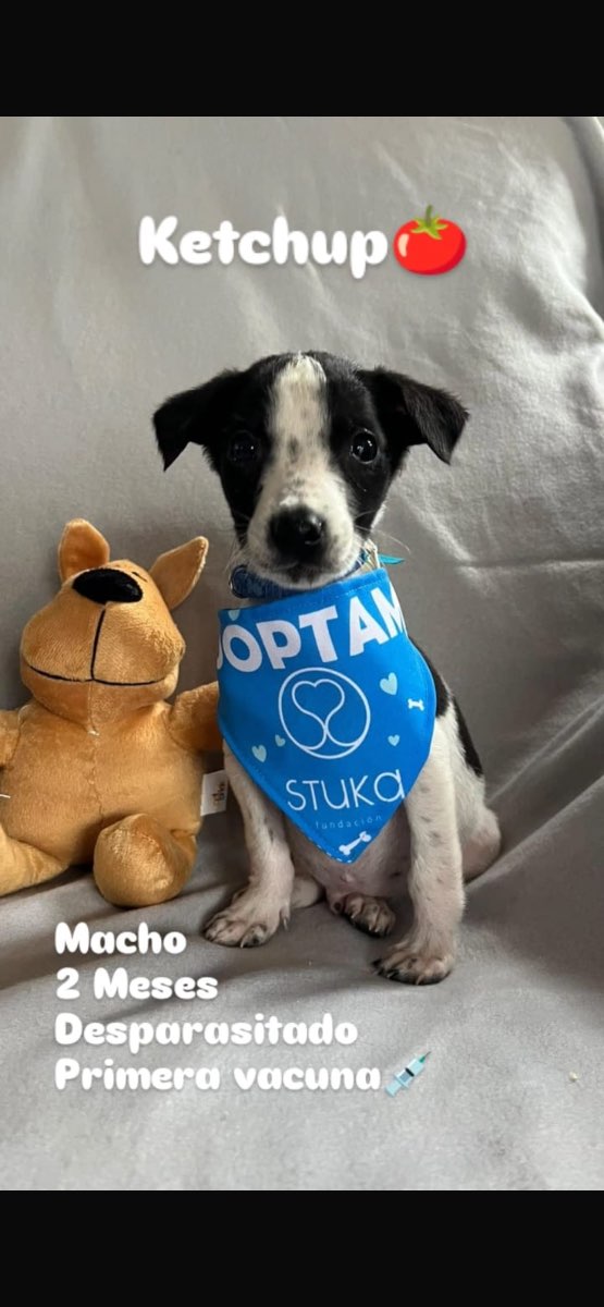 Foto 1