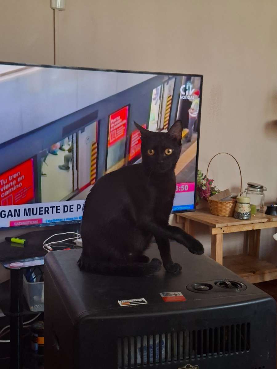 Foto 4