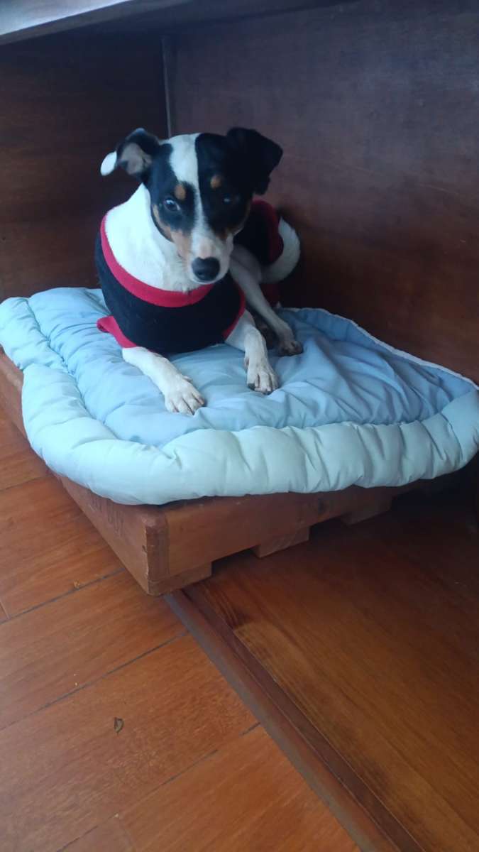 Foto 2