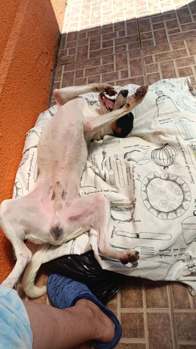 Foto 3