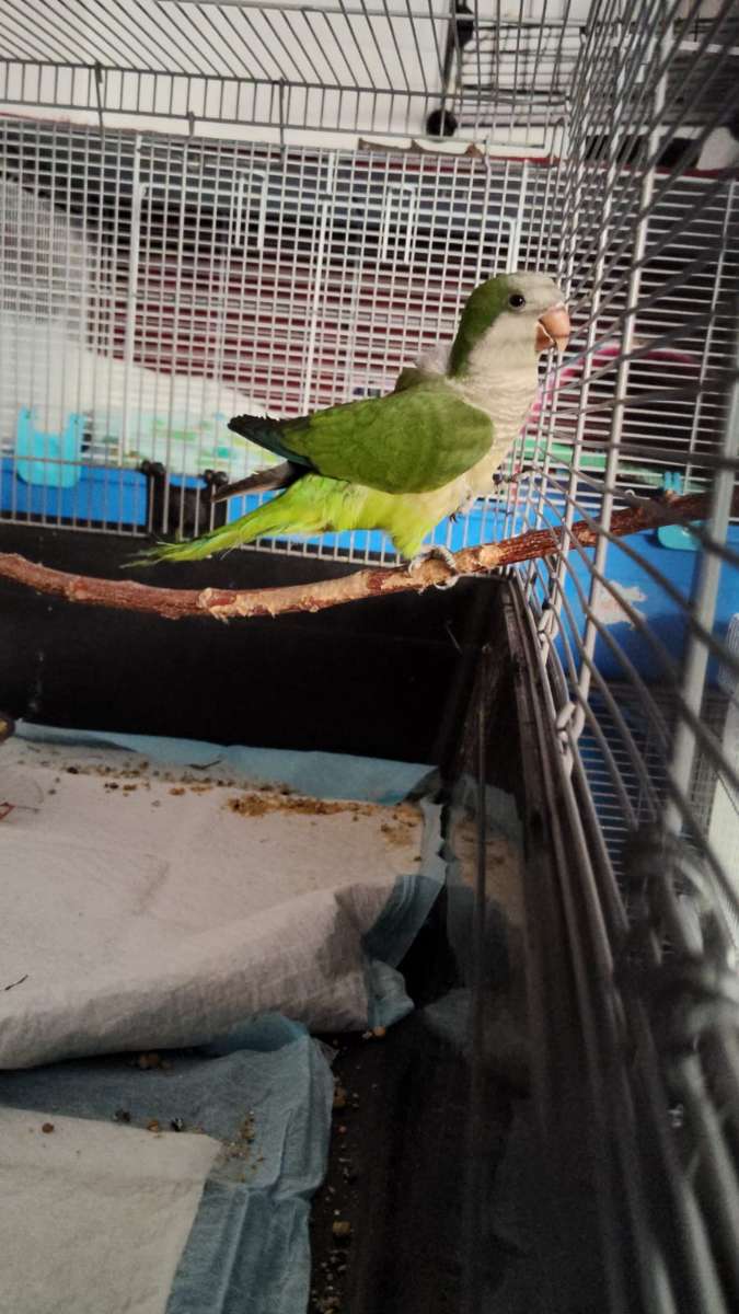 Foto 4