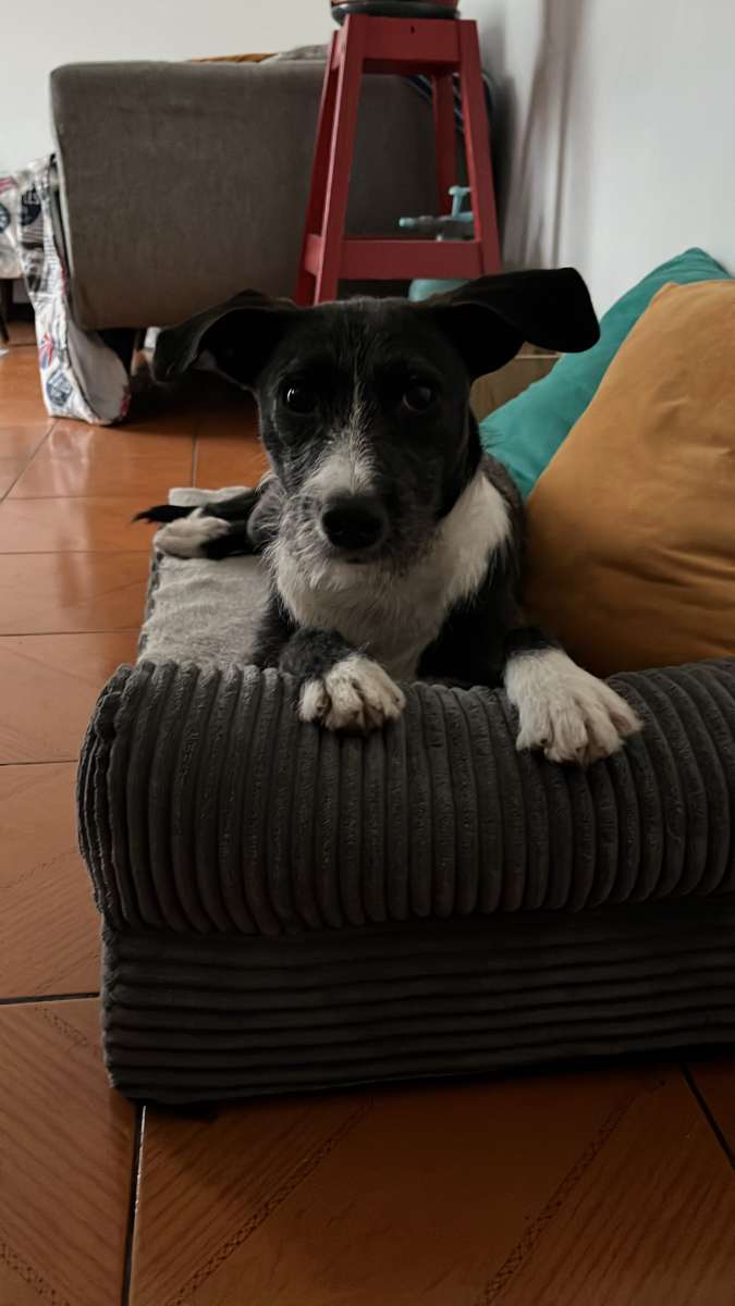 Foto 4