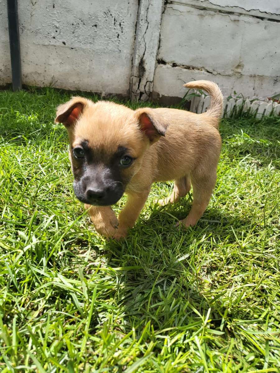 Foto 4