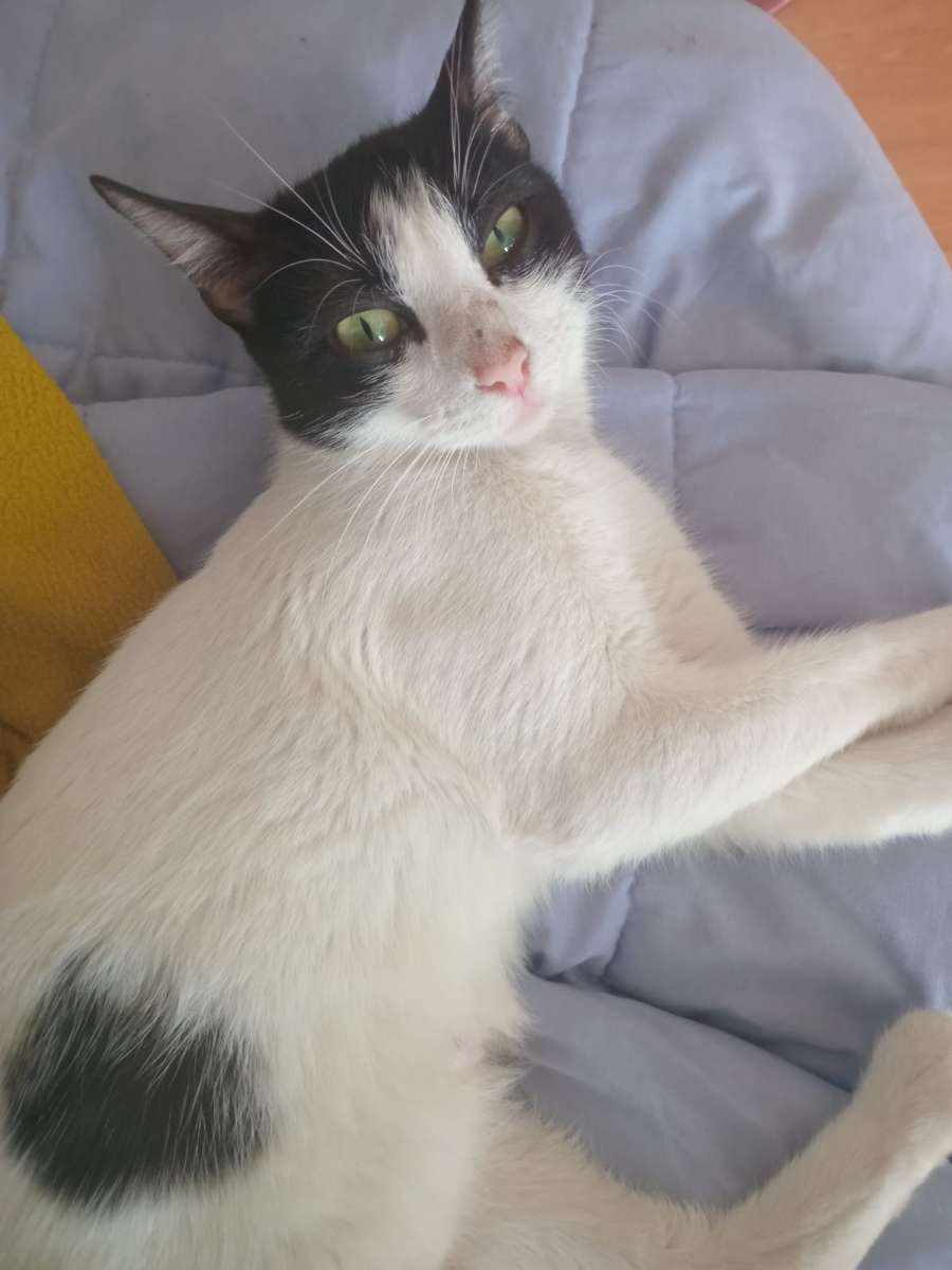 Foto 2